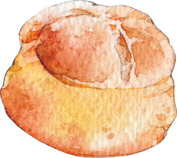 Pate a Choux Watercolor
